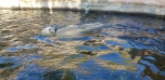 Podzimní výlet do Zoo