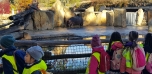 Podzimní výlet do Zoo