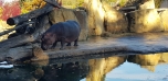 Podzimní výlet do Zoo