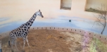 Podzimní výlet do Zoo