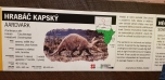 Podzimní výlet do Zoo