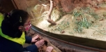 Podzimní výlet do Zoo