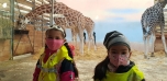 Podzimní výlet do Zoo