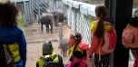 Podzimní výlet do Zoo