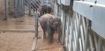Podzimní výlet do Zoo