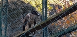 Podzimní výlet do Zoo