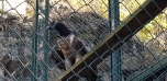 Podzimní výlet do Zoo