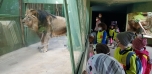 Podzimní výlet do Zoo