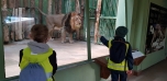 Podzimní výlet do Zoo
