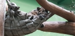 Podzimní výlet do Zoo