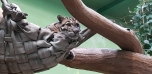 Podzimní výlet do Zoo