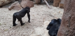 Podzimní výlet do Zoo