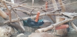 Podzimní výlet do Zoo