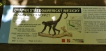 Podzimní výlet do Zoo