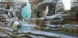 Podzimní výlet do Zoo