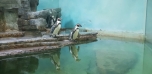 Podzimní výlet do Zoo
