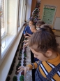 Prosinec 2021 Vánoční projektové vyučování