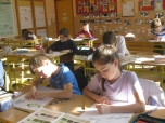 3. B únor - Živočichové