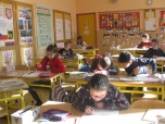 3. B únor - Živočichové