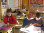 3. B únor - Živočichové