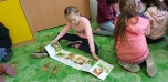 Projektový den 
