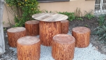 Projektový den