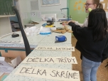 Fyzika - délka 