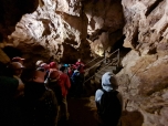 Bozkovské dolomitové jeskyně