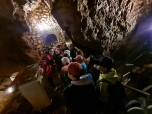 Bozkovské dolomitové jeskyně