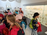 Muzeum skleněných betlémů