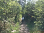 Týden výletů a akcí - den první 