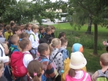 5. B září - Včelí svět