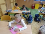 Pracovní činnosti 