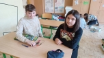  5. B leden - Informatika