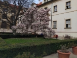 Březen 2024 - procházka Prahou