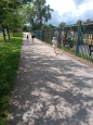 Sportovní odpoledne 6.6.2025