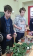 řízkování