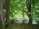 ŠKOLA V PŘÍRODĚ - další foto