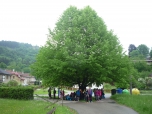 ŠKOLA V PŘÍRODĚ - další foto