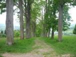 ŠKOLA V PŘÍRODĚ - další foto