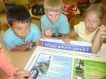 Přírodovědný kroužek - pokročilí - Hry na Bohdalci