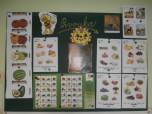 Prvouka
