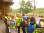 Přírodovědný kroužek - pokročilí - Hádankové odpoledne v ZOO