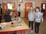 Projekt Podnikatel