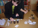 Projekt Podnikatel