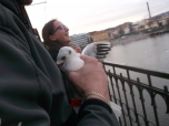 Přírodovědný kroužek - pokročilí - zimní pozorování ptactva s ornitology na Vltavě