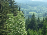 ŠVP Janov nad Nisou
