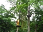 ŠVP Janov nad Nisou ZOO a lanové centrum