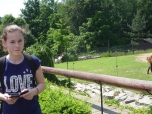 ŠVP Janov nad Nisou ZOO a lanové centrum