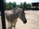 ŠVP Janov nad Nisou ZOO a lanové centrum
